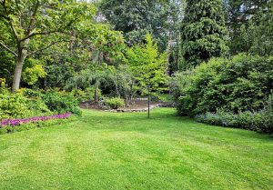 Optimiser l'expérience du jardin à Sainte-Feyre-la-Montagne